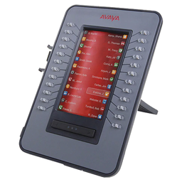 Avaya IX™ JEM24 Button Module